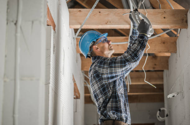Best Generator Installation Services  in Wagner, SD