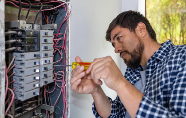 Best Home Electrical Repair  in Wagner, SD